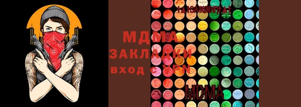 ГАЛЛЮЦИНОГЕННЫЕ ГРИБЫ Ельня