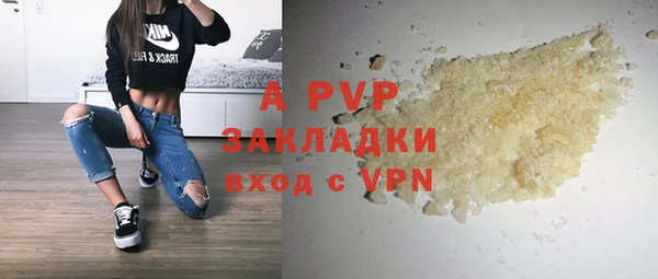 ГАЛЛЮЦИНОГЕННЫЕ ГРИБЫ Ельня