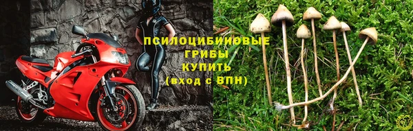 тгк Елабуга