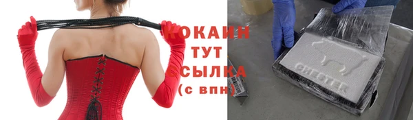ГАЛЛЮЦИНОГЕННЫЕ ГРИБЫ Ельня
